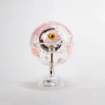 Wellfun Factory Plastic 6Inch and 8Inch Rotating Globe World Globes - Image 4