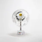 Wellfun Factory Plastic 6Inch and 8Inch Rotating Globe World Globes - Image 5